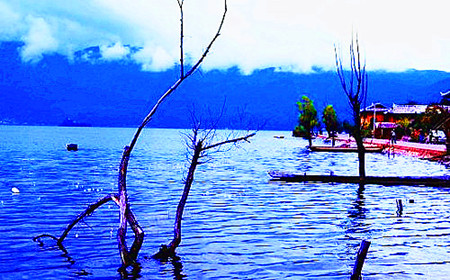 半岛·官方站线登入页面(图6)